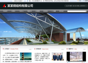 营销型网站建设全攻略 从构建到维护，快速实现商业转化